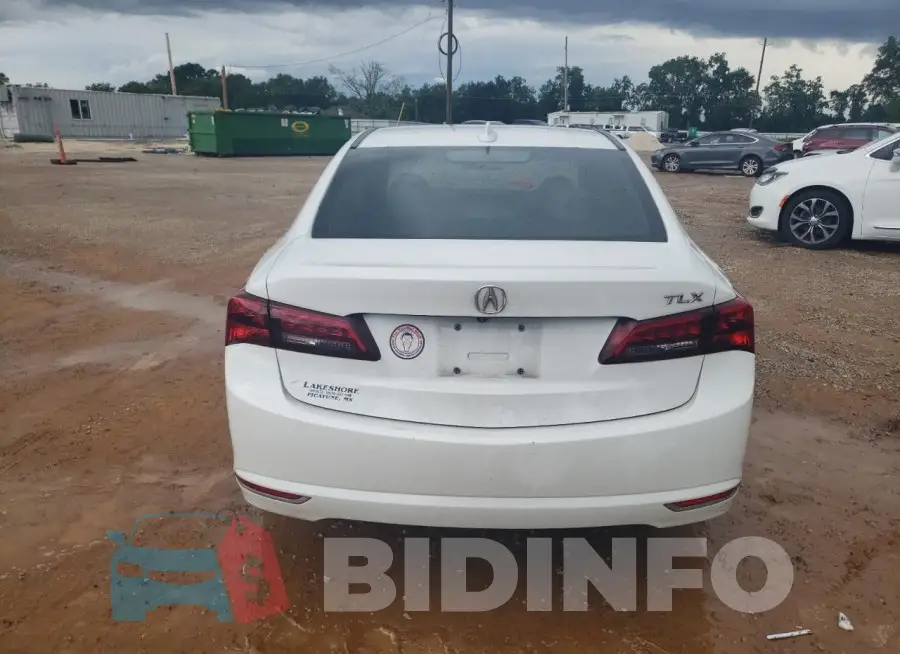 19UUB2F31FA020836 Photo# 6