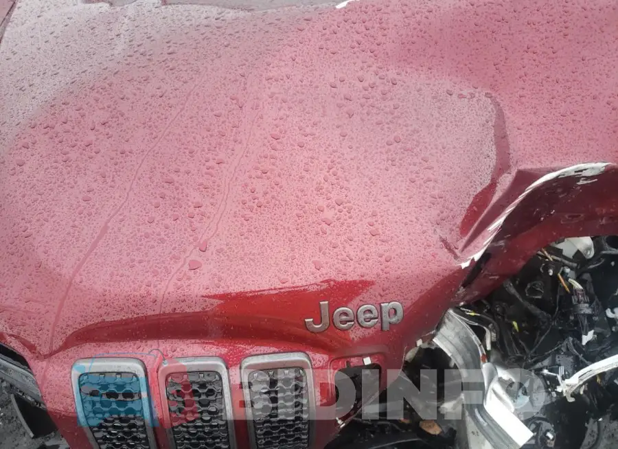 1C4PJMMXXMD232825 Photo# 11