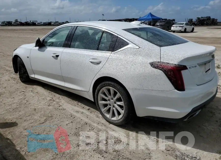 1G6DM5RK9L0126887 Photo# 2