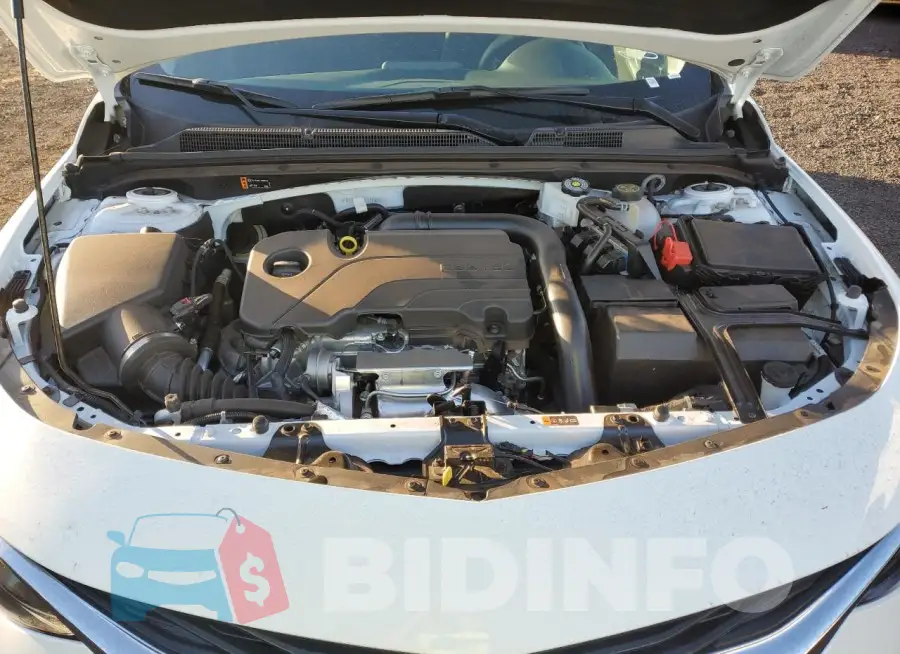 1G1ZD5ST1RF176865 Photo# 11