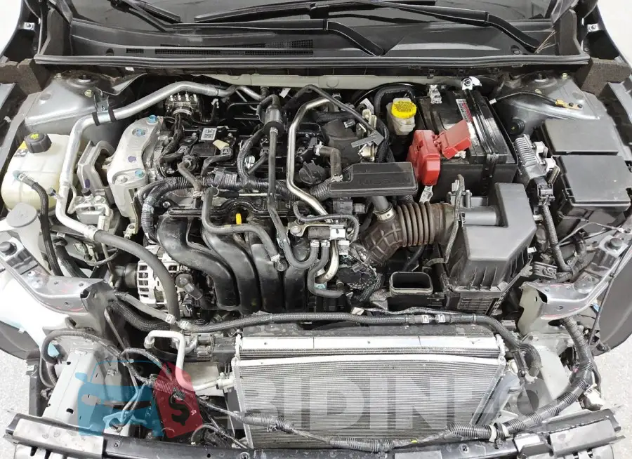 3N1AB8BV5RY356066 Photo# 11