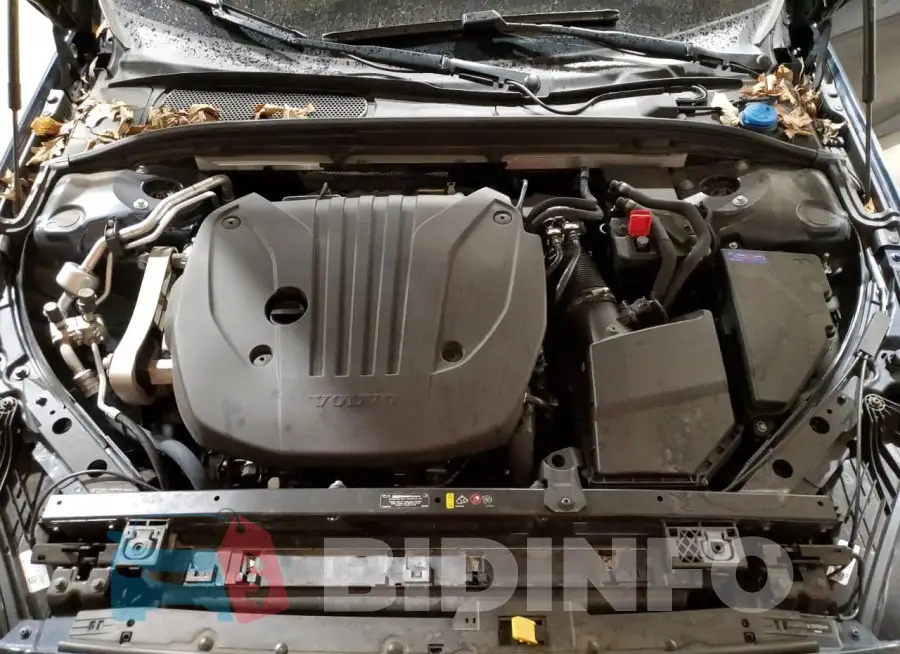 7JRL12TK1RG294484 Photo# 11