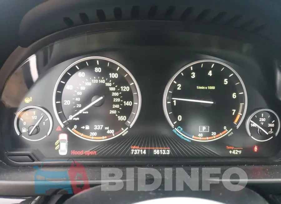 WBA5B1C51GG132146 Photo# 9