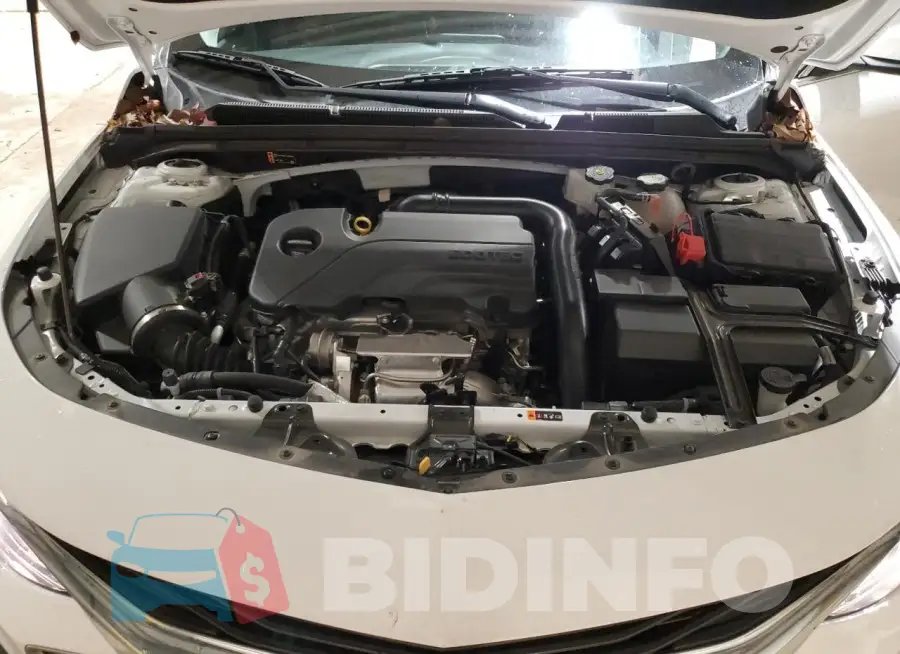 1G1ZD5ST1RF174677 Photo# 11