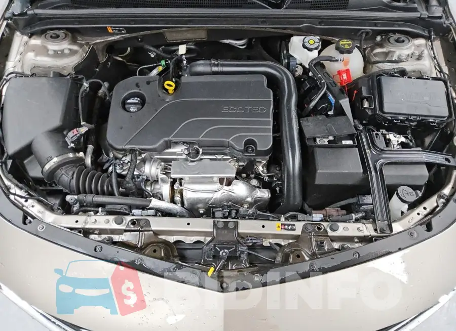 1G1ZD5ST1RF235669 Photo# 11