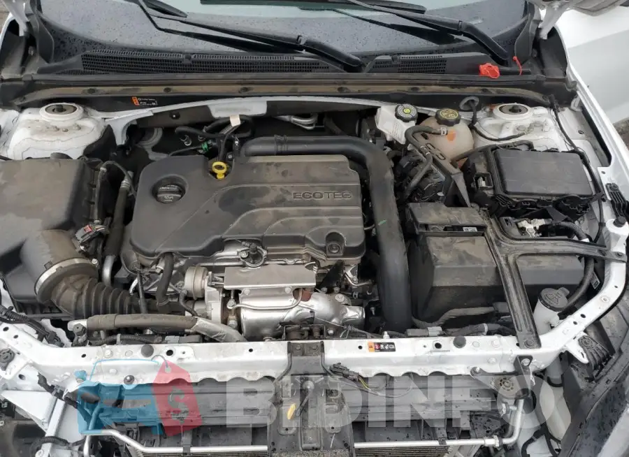 1G1ZD5ST4RF116451 Photo# 11