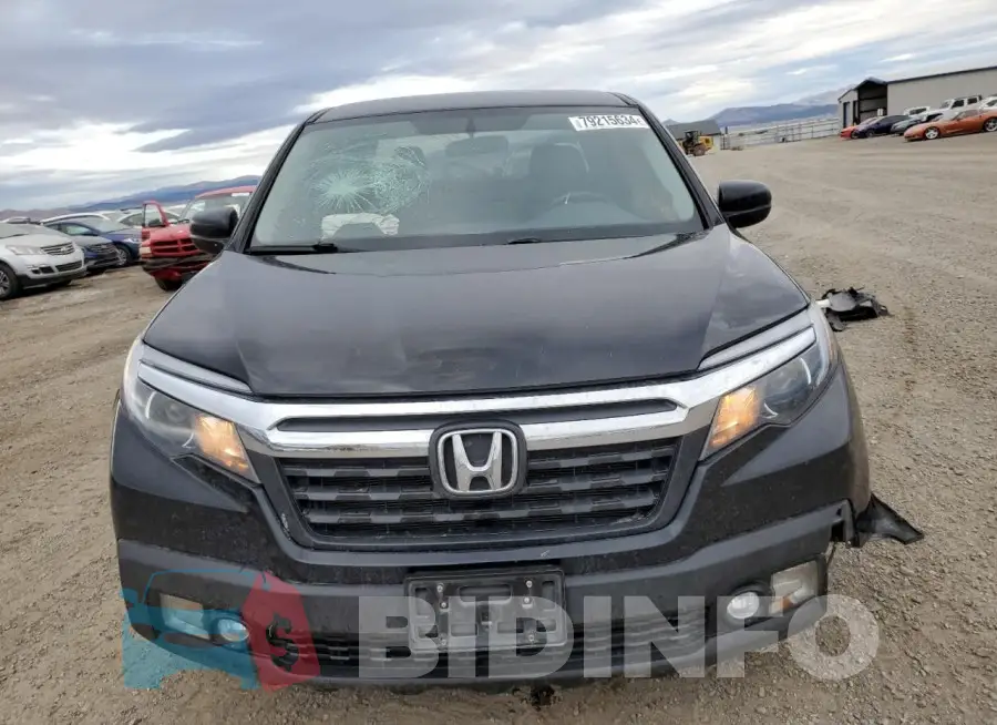 5FPYK3F54HB004137 Photo# 5