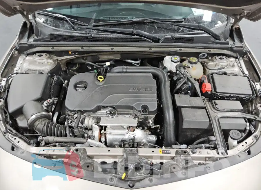 1G1ZD5ST6PF224289 Photo# 11