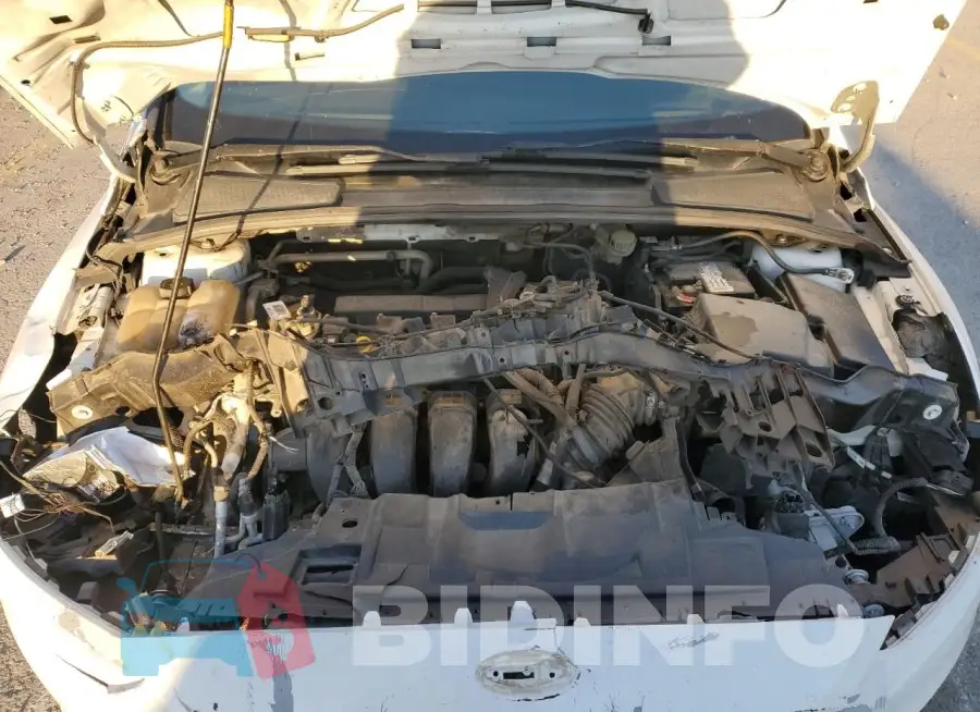1FADP3F20GL219515 Photo# 11