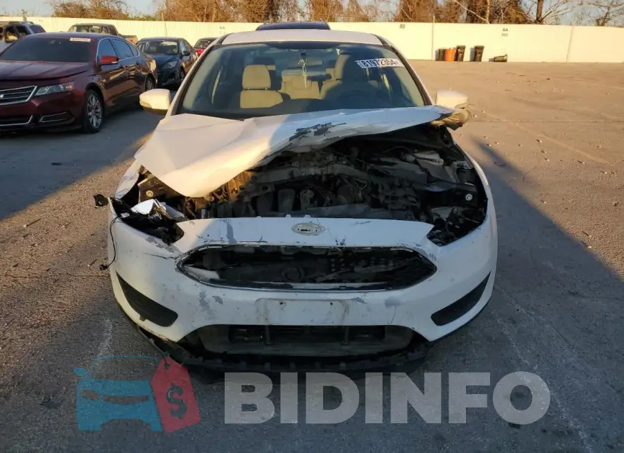 1FADP3F20GL219515 Photo# 5