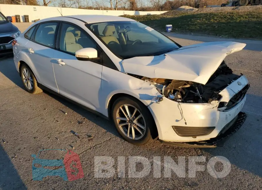 1FADP3F20GL219515 Photo# 4