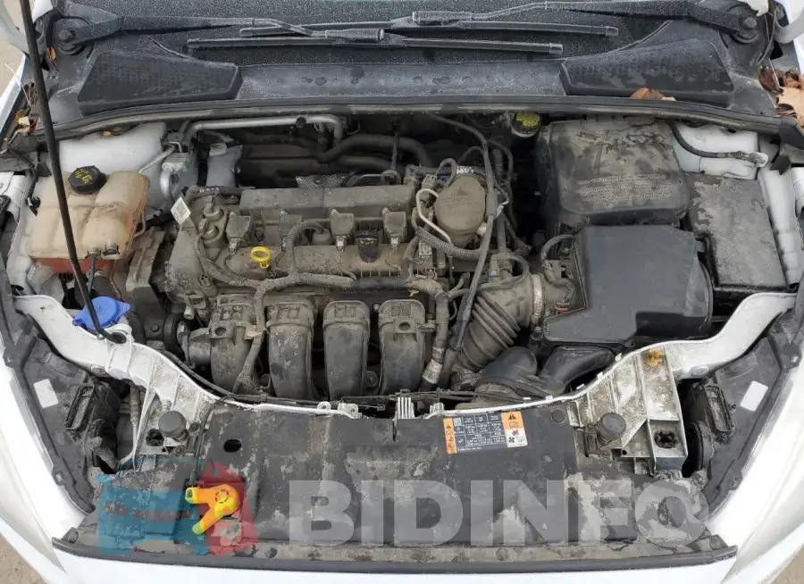 1FADP3F20GL306556 Photo# 11