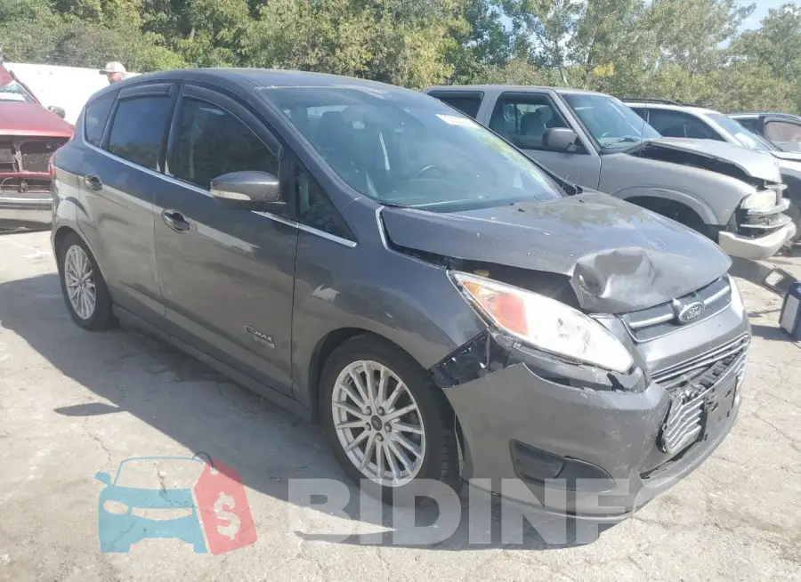 1FADP5CU4FL123998 Photo# 4