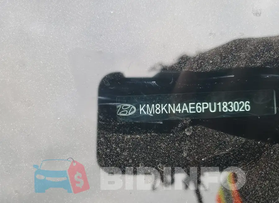 KM8KN4AE6PU183026 Photo# 12