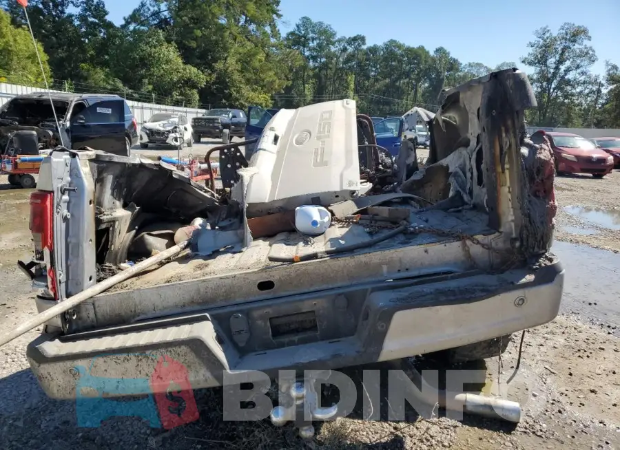 1FTFW1E85MFB91365 Photo# 6