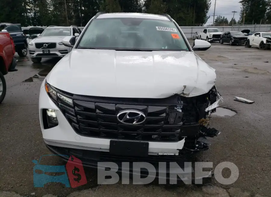 KM8JBDD29RU189007 Photo# 5