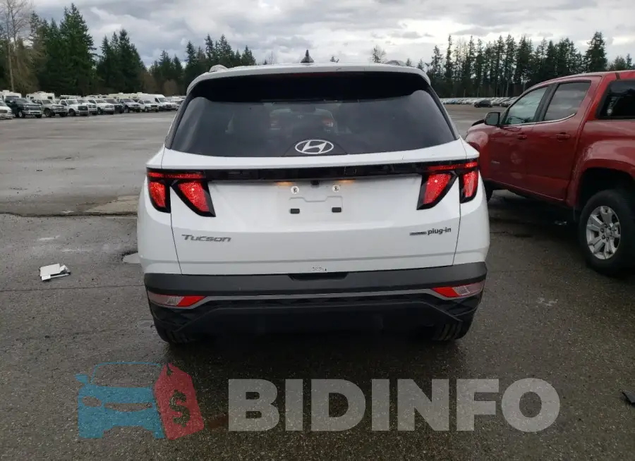 KM8JBDD29RU189007 Photo# 6