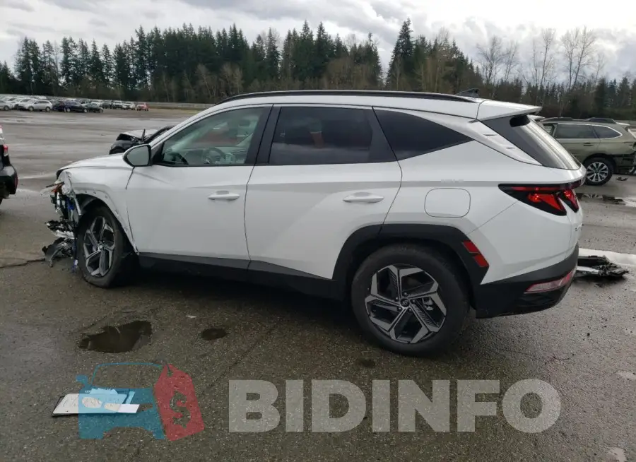 KM8JBDD29RU189007 Photo# 2
