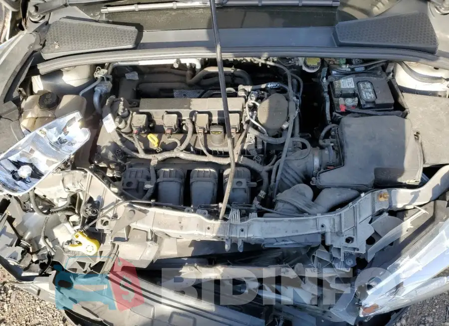 1FADP3F24FL209522 Photo# 11