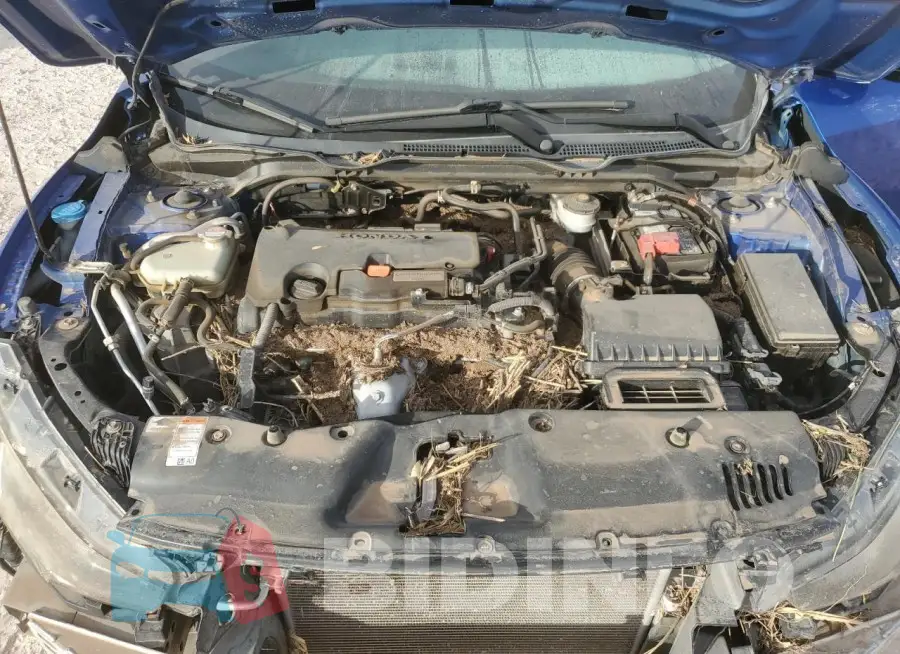19XFC2F61JE015916 Photo# 11