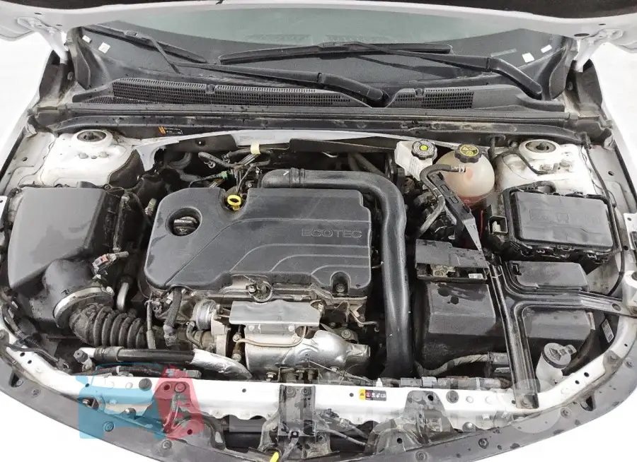 1G1ZD5ST0PF131123 Photo# 11