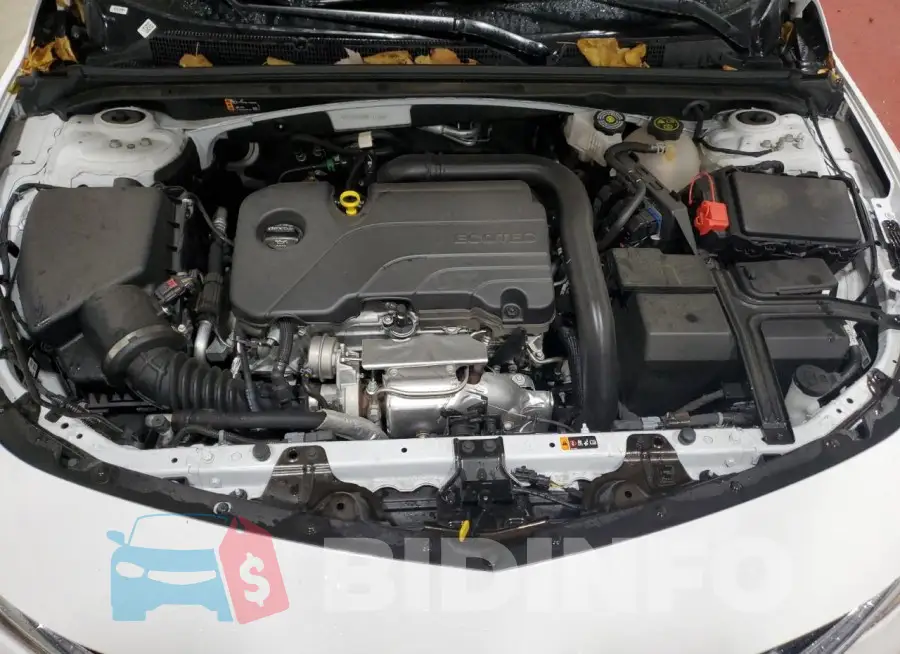 1G1ZD5ST9RF171266 Photo# 11