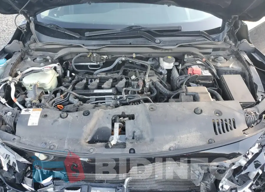 19XFC1F36HE205513 Photo# 11