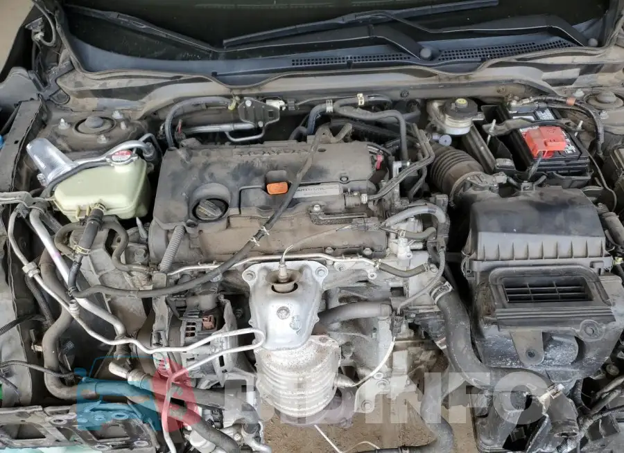 19XFC2F7XGE064601 Photo# 11