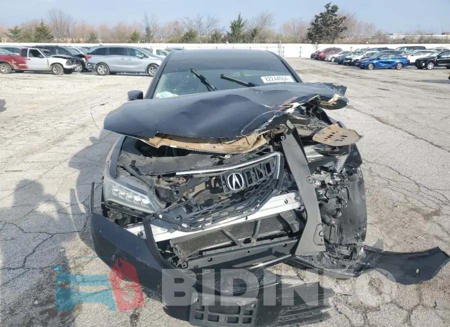 19UUB1F32FA011752 Photo# 5