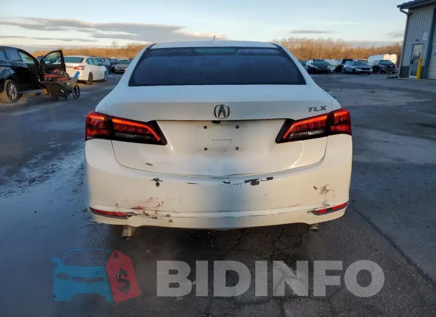 19UUB2F53FA014697 Photo# 6