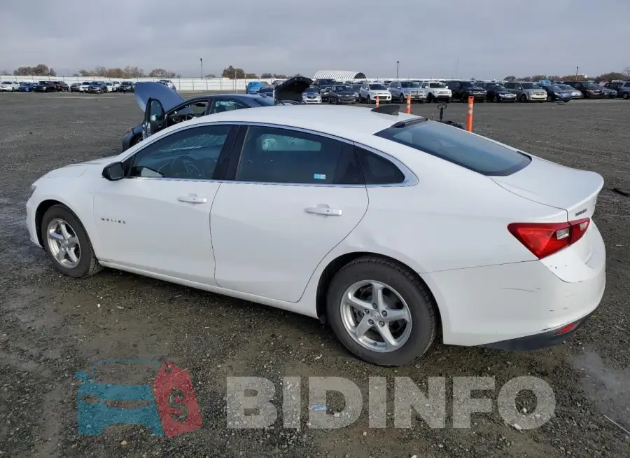 1G1ZB5ST5GF305080 Photo# 2