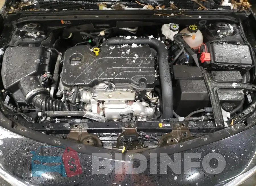 1G1ZD5ST3PF209362 Photo# 11