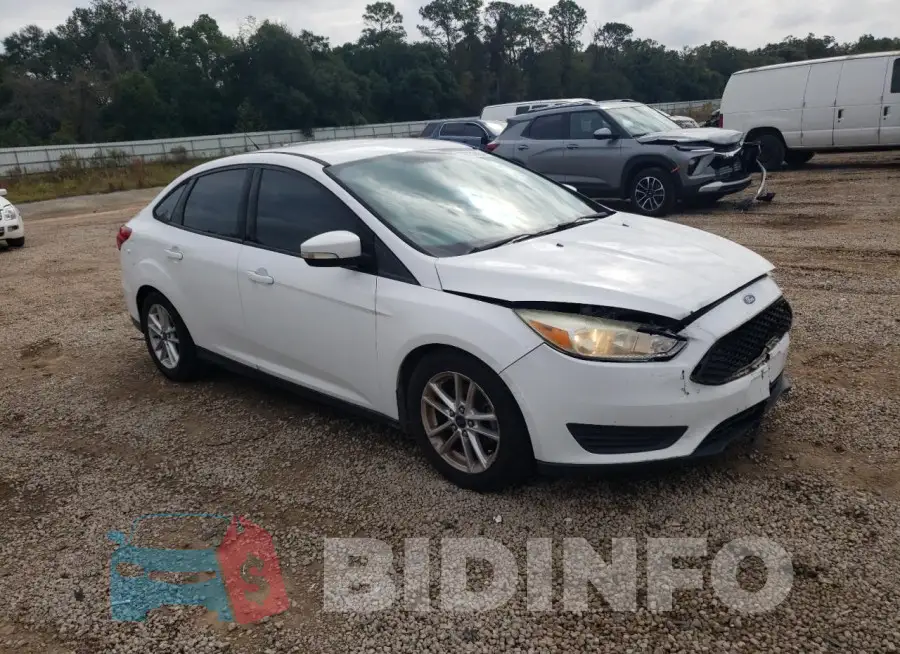 1FADP3F21GL264768 Photo# 4