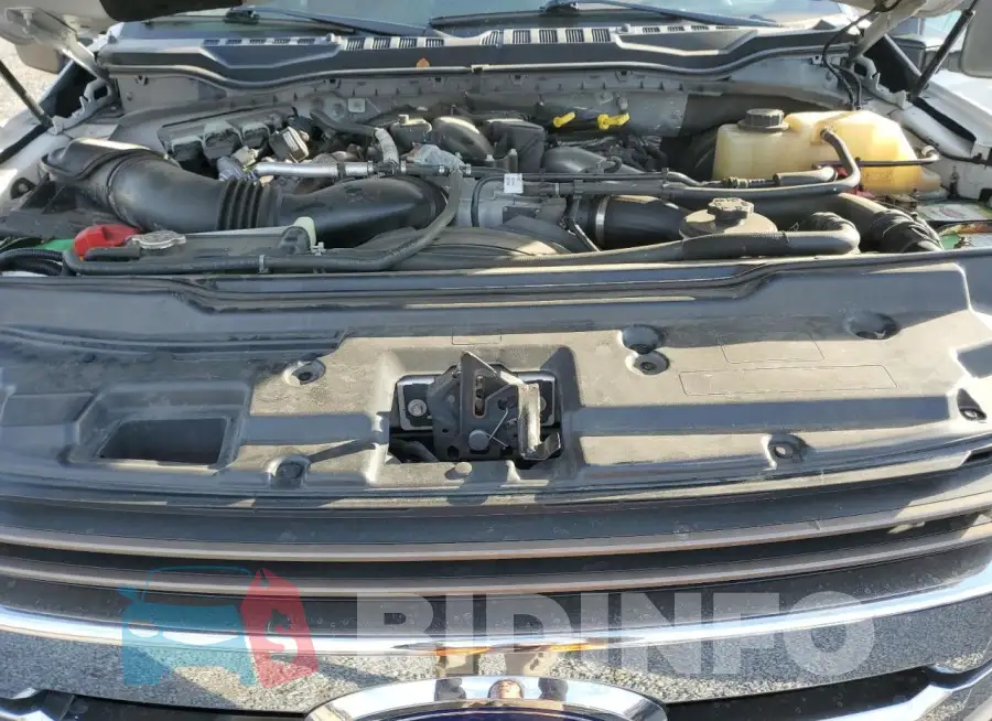 1FT8W3BT5KEG01243 Photo# 12
