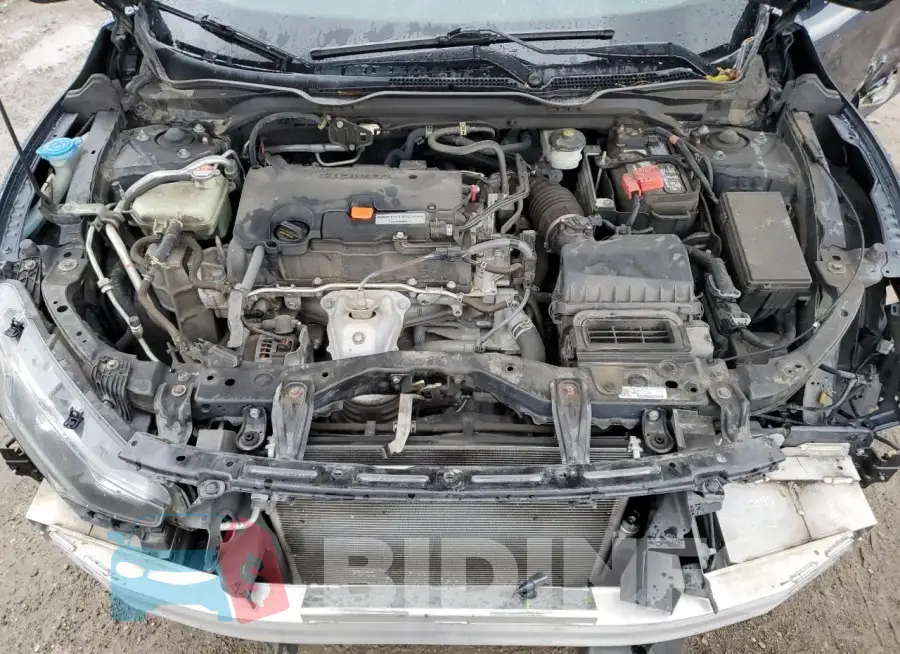 19XFC2F56JE007513 Photo# 11