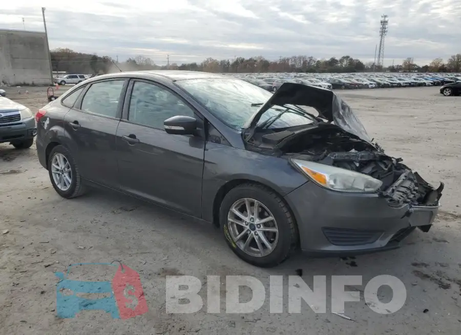 1FADP3F29FL313021 Photo# 4