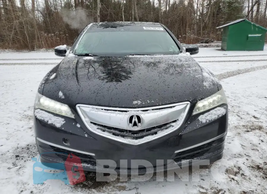 19UUB3F5XFA801779 Photo# 5