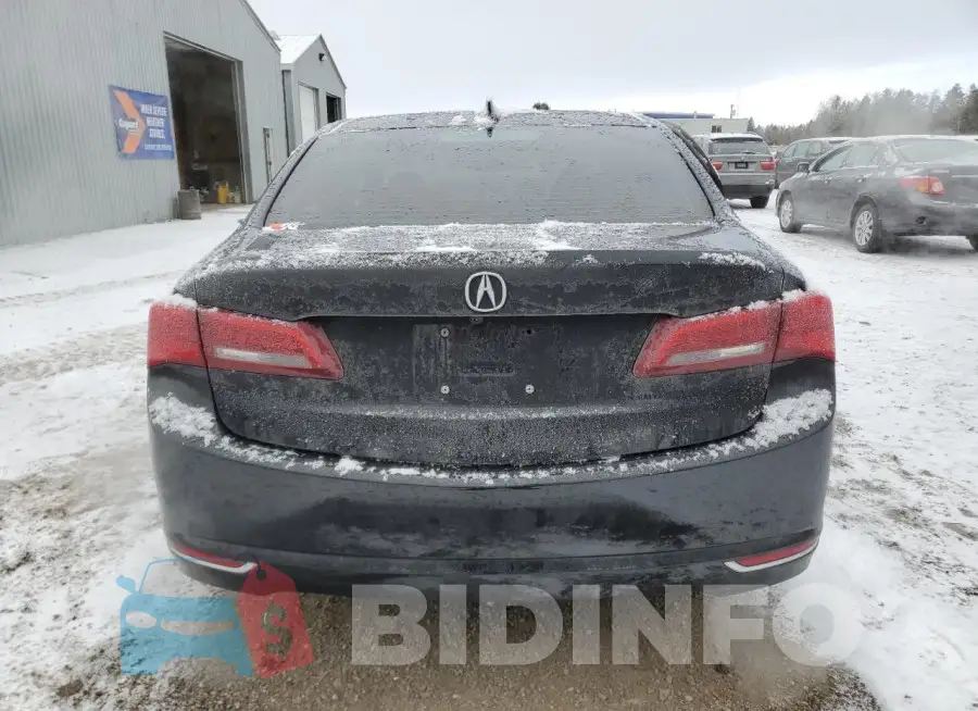 19UUB3F5XFA801779 Photo# 6