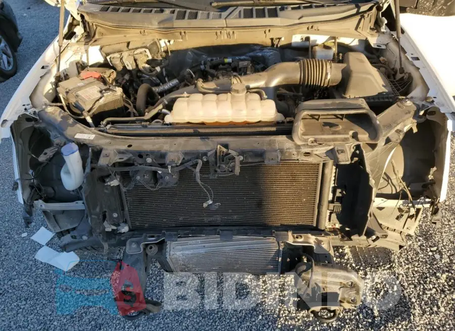 1FTEW1EP7MKD17641 Photo# 11