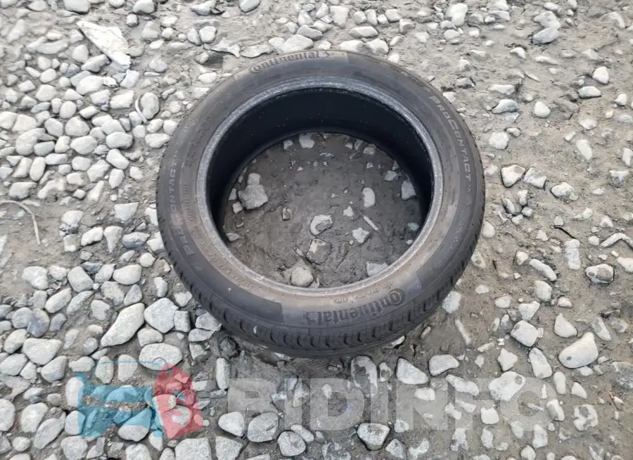 19XFC1F36GE214971 Photo# 12