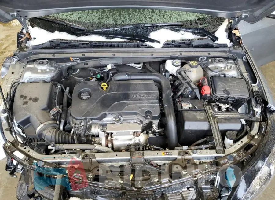 1G1ZD5ST3PF215601 Photo# 11