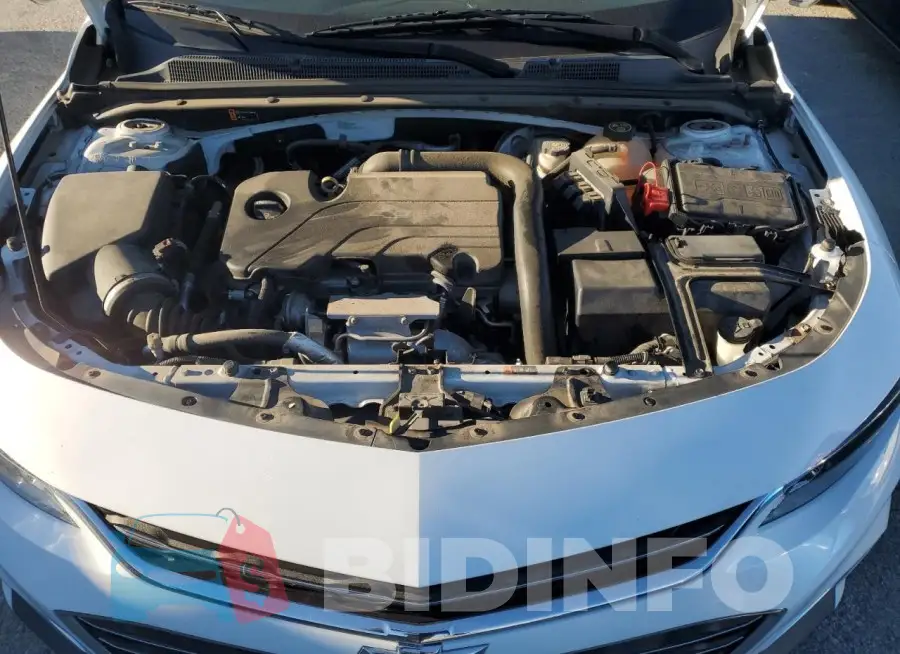 1FADP3F22FL262591 Photo# 11