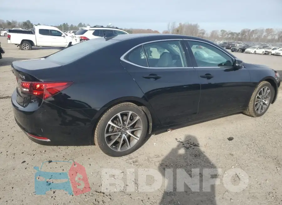 19UUB2F50FA001146 Photo# 3