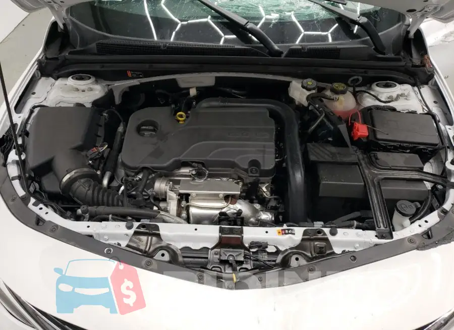 1G1ZD5ST1RF117024 Photo# 11