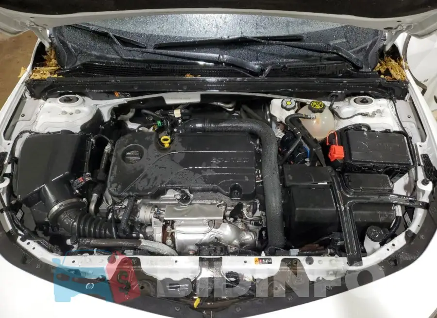 1G1ZD5ST3PF229529 Photo# 11