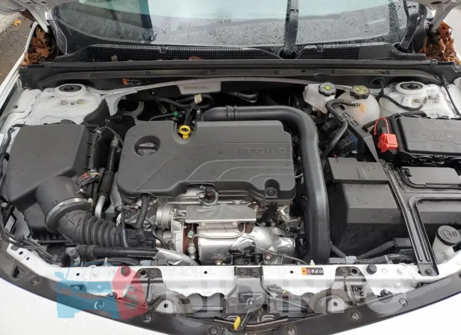 1G1ZD5ST5PF238426 Photo# 11
