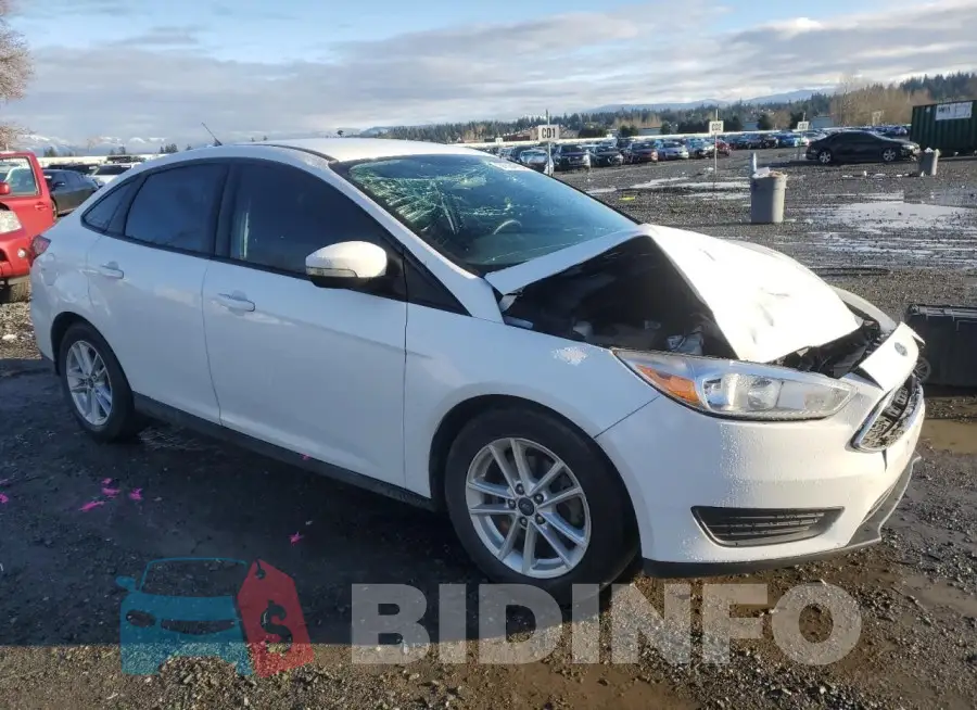 1FADP3F25GL337494 Photo# 4