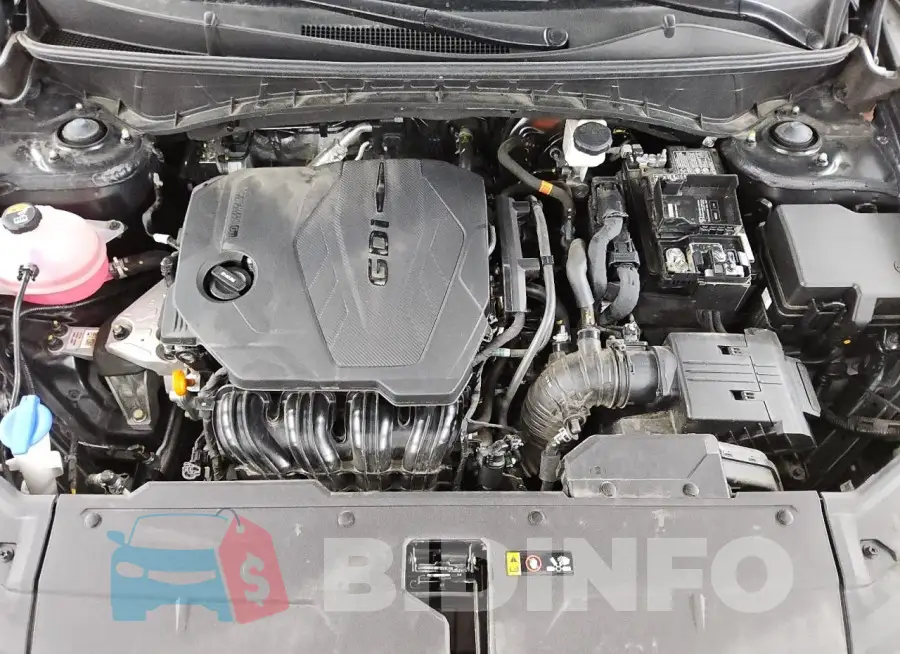 5NMJBCDE9RH345336 Photo# 12