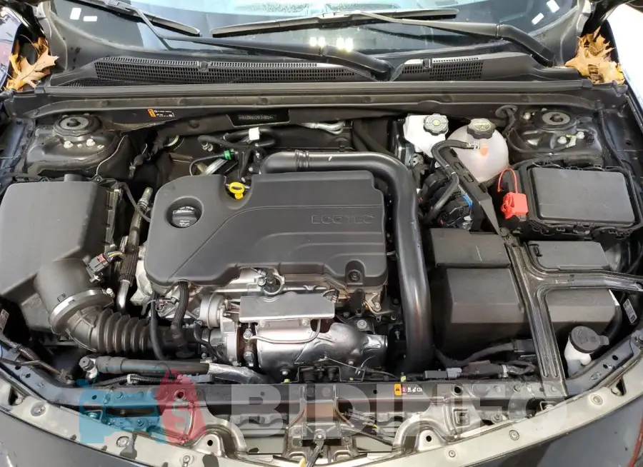 1G1ZD5ST2RF218024 Photo# 11