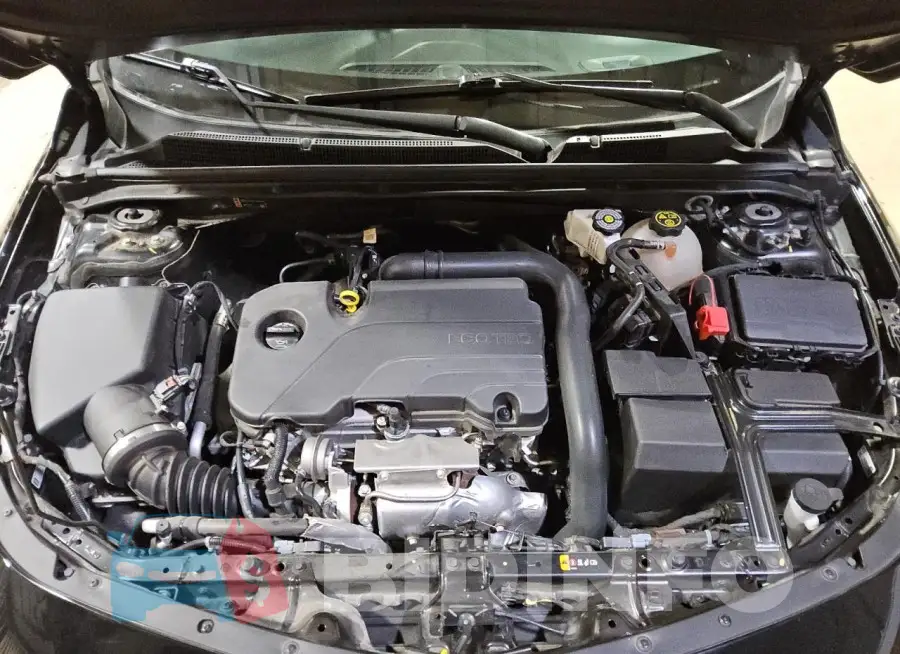 1G1ZD5ST3PF181739 Photo# 11